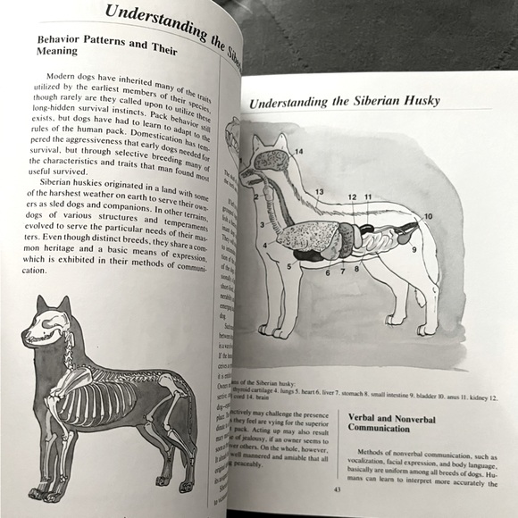💖NEW 90s Siberian Huskies Dog Pet Owners Guidebook Hardback Color Photographs💖 - Picture 15 of 16